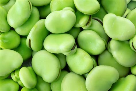 how much protein in fava beans? How can fava bean consumption affect athletes' performance?