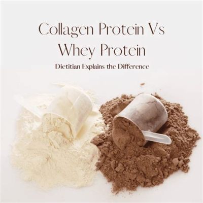 is collagen a complete protein Is it possible to find collagen in other complete proteins?