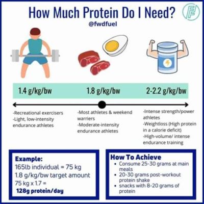 what happens if you don't eat enough protein when working out and how does this relate to the importance of hydration during workouts